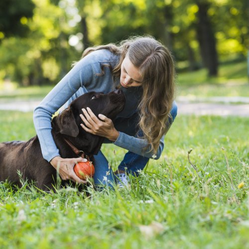 Keep Your Pet Safe: How a GPS Collar Prevents Loss