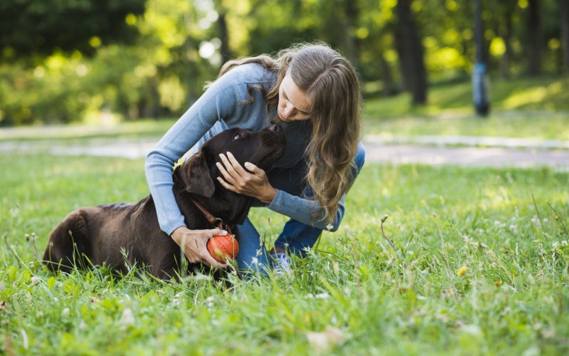 Keep Your Pet Safe: How a GPS Collar Prevents Loss